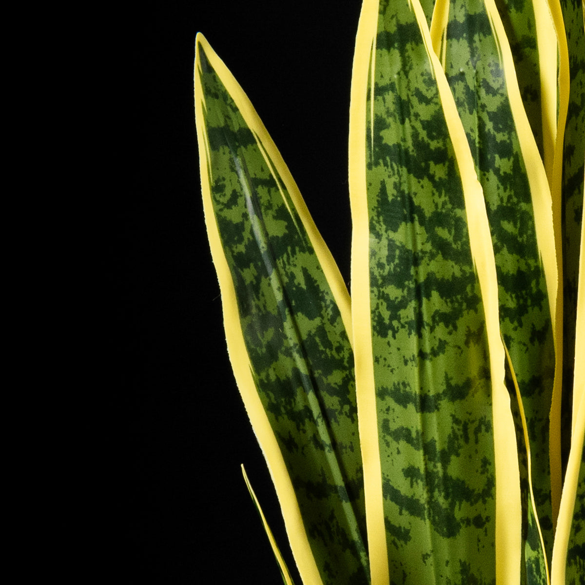 Plante artificielle Sanseveria 86 cm — gros plan, qualité premium réaliste