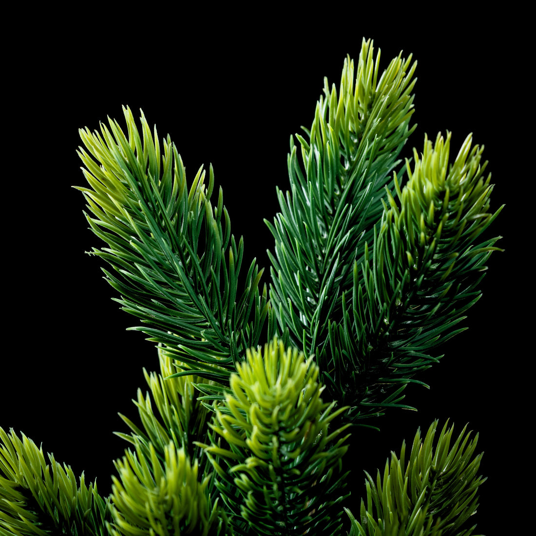 Branche de sapin artificielle 48 cm, gros plan sur les aiguilles vertes aux pointes claires