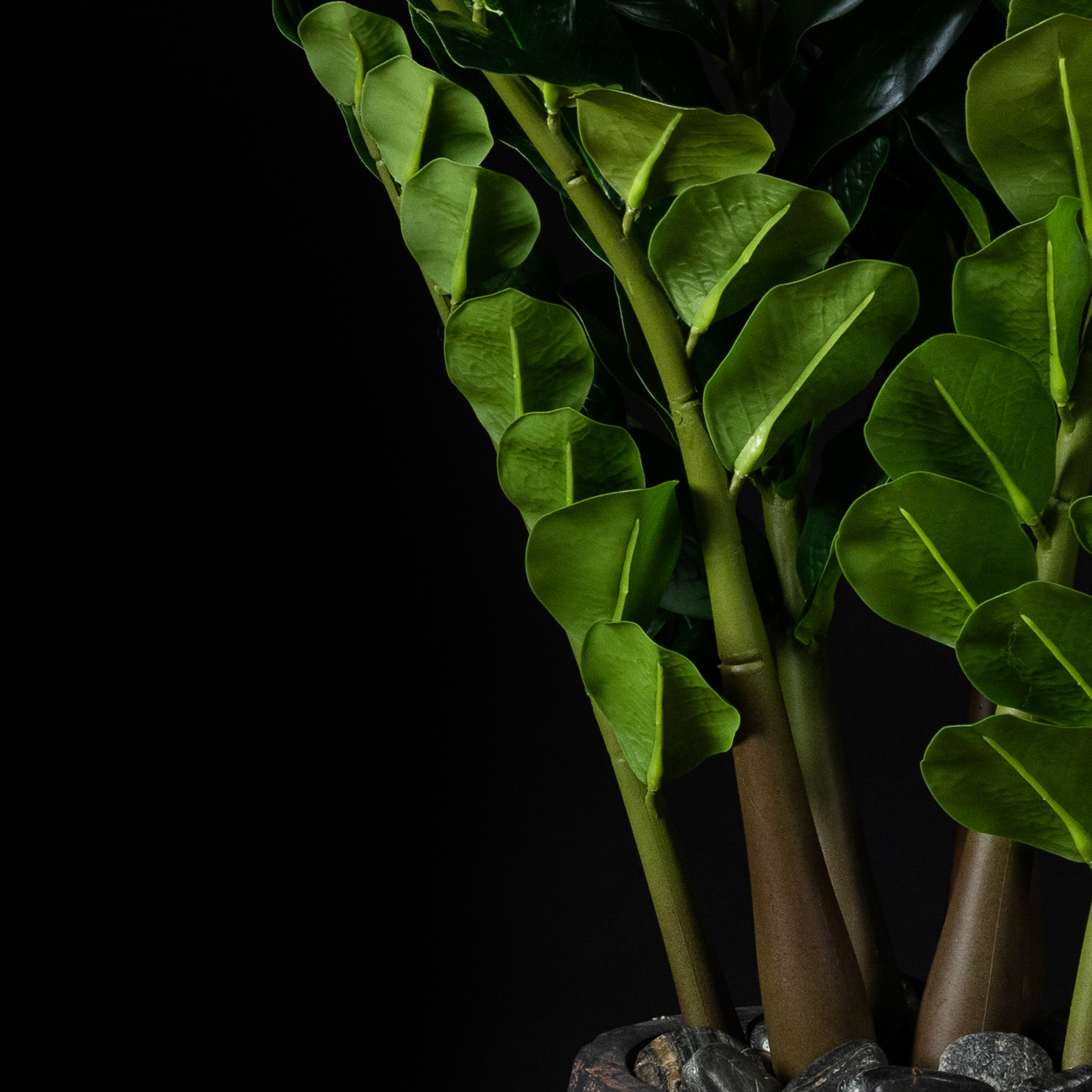 Plante artificielle Zamioculcas 100 cm — détail feuillage réaliste, sans entretien