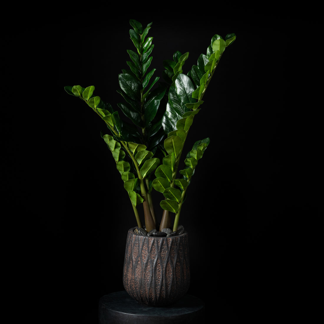 Plante artificielle Zamioculcas 100 cm — visuel produit, sans entretien pour intérieur