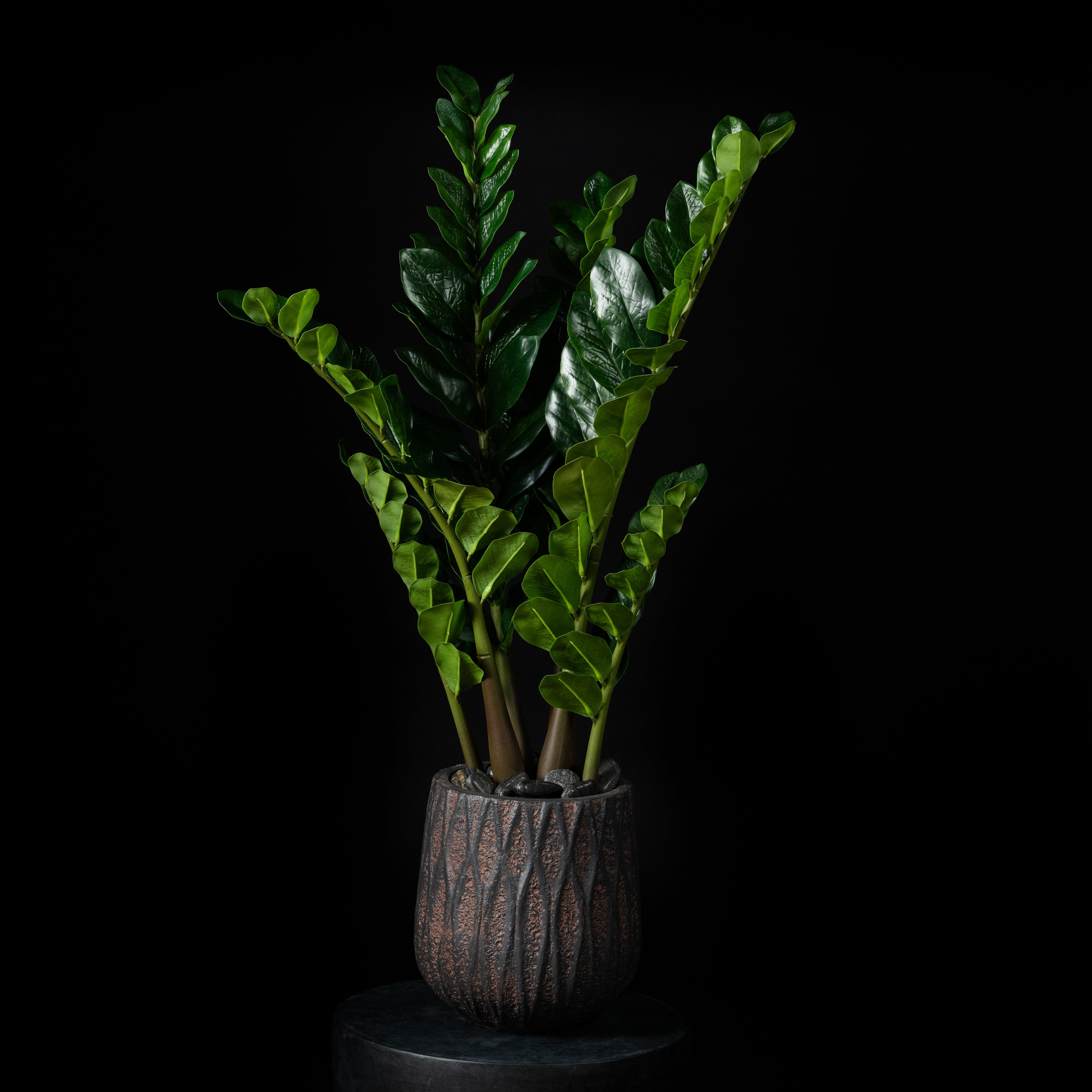 Plante artificielle Zamioculcas 100 cm — visuel produit, sans entretien pour intérieur