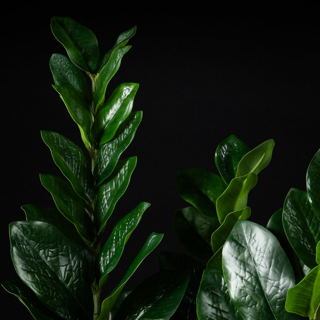 Plante artificielle Zamioculcas 100 cm Galan GA — déco intérieur réaliste sans entretien